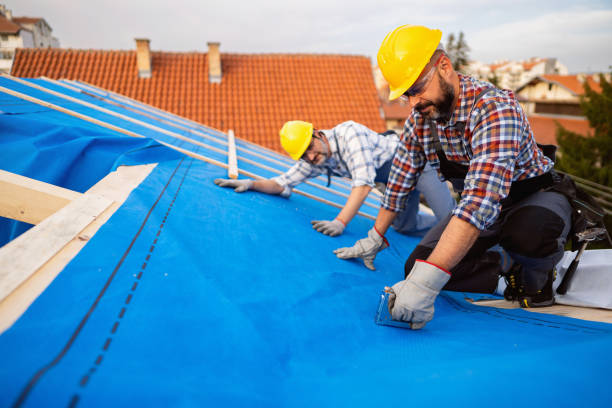 Best Roof Ventilation Installation  in White Sulphur Springs, WV