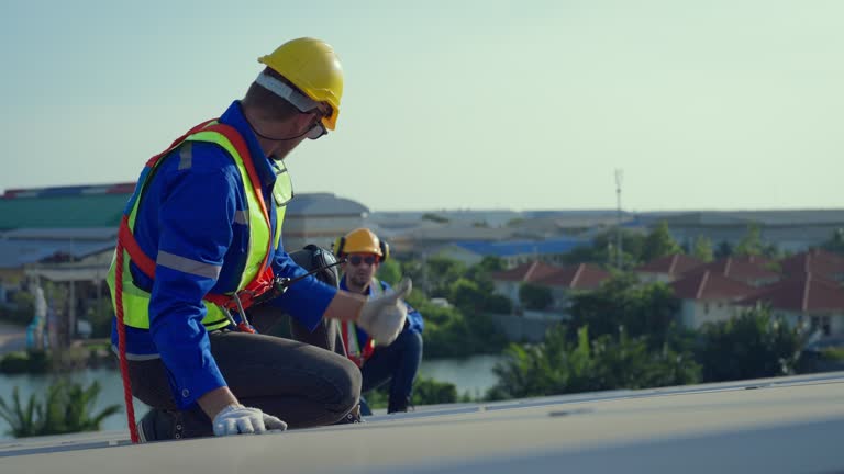 Best Roof Maintenance and Cleaning  in White Sulphur Springs, WV