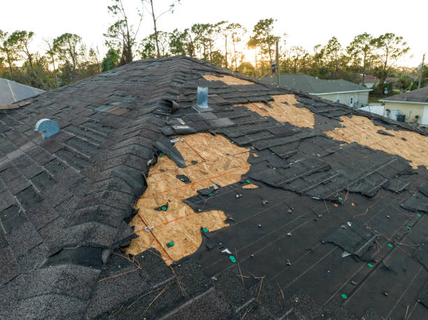 Best Roof Moss and Algae Removal  in White Sulphur Springs, WV